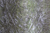 High Barnet fibreglass roof work